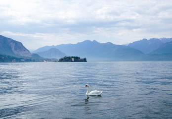 Look to  the Island of Bella, Lake Maggiore ,Italy