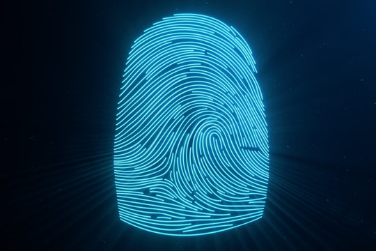 3D illustration Fingerprint scan provides security access with biometrics identification. Concept Fingerprint protection.Curved fingerprint. Concept of digital security