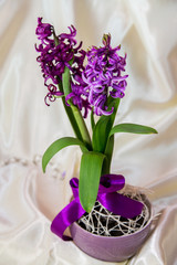 Chic and bright festive bouquet of flowers