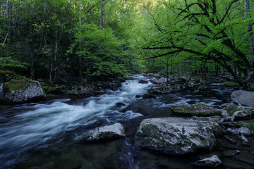 Flowing through Shadows