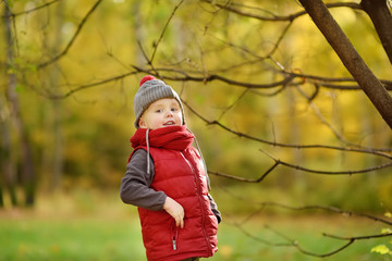 Little boy during stroll in the forest at sunny autumn day