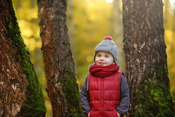Little boy during stroll in the forest at sunny autumn day