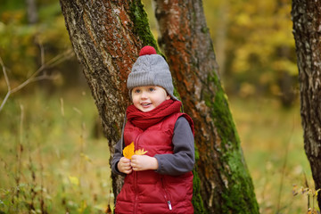 Little boy during stroll in the forest at sunny autumn day