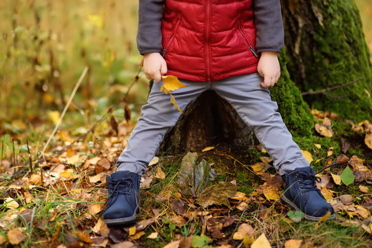 Little boy during stroll in the forest at sunny autumn day