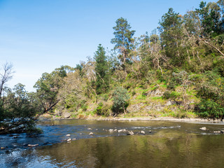 Yarra River flowing through the outer suburb of Warrandyte in Australia.
