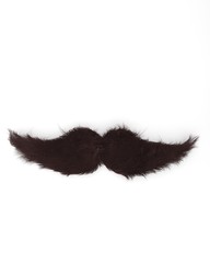 Movember. 3d  illustration with mustache on white background. Men's Cancer awareness month