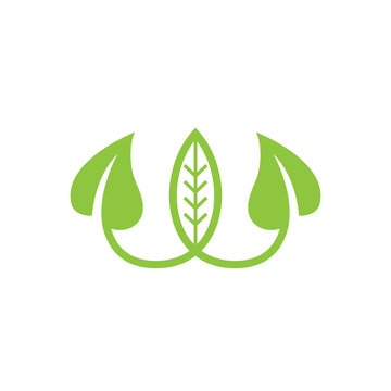  Leaf Letter W Logo