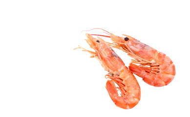 Frozen shrimps on white background.