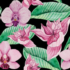Watercolor seamless pattern of blooming pink orchid flowers. Leaf of Medinilla and flower in good detail on a black background.