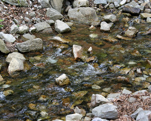 Mountain Stream with Stone Bed