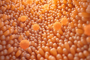 3d illustration Intestinal villi. Intestine lining. Microscopic villi and capillary. Human intestine. Viral infection causing chronic disease. Hepatitis viruses, influenza virus, cell infect organism.
