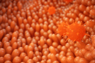 3d illustration Intestinal villi. Intestine lining. Microscopic villi and capillary. Human intestine. Viral infection causing chronic disease. Hepatitis viruses, influenza virus, cell infect organism.