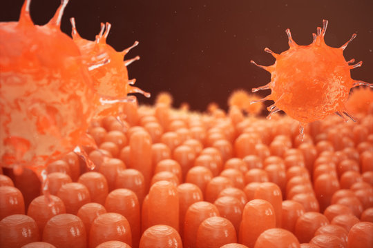 Balantidiasis Images – Browse 37 Stock Photos, Vectors, and Video ...