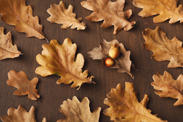 Fall oak leaves pattern background