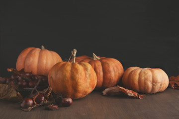 Beautiful pumpkins with leaves and chestnuts on black background