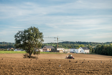 Neubaugebiet