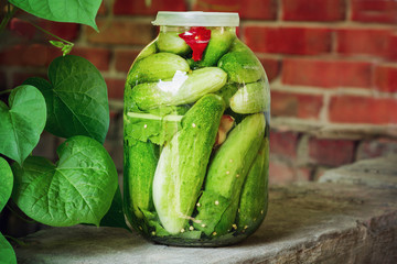 Canned fresh cucumbers in a jar