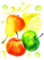 Fototapeta na wymiar Stylized hand drawn watercolor illustration with imposition of apples, lemons and pears
