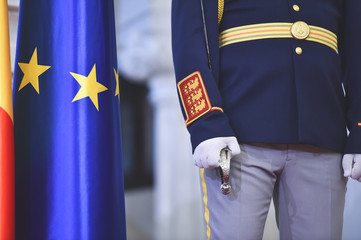 Guard of honor during a military ceremony