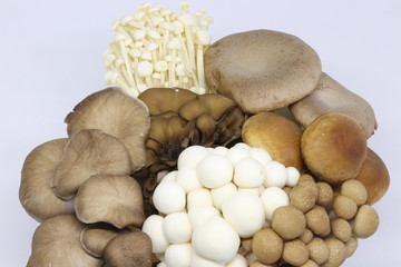 キノコの盛り合わせ