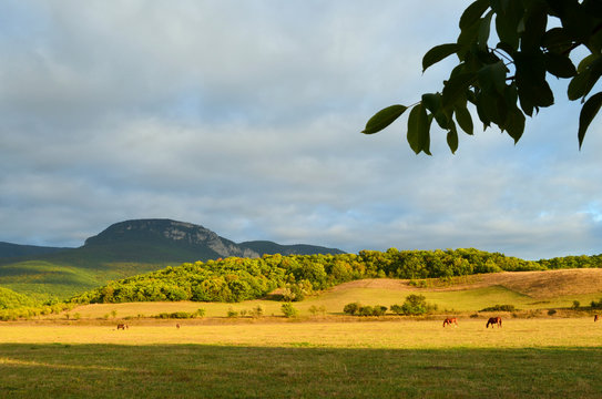 Mount the Boyka in the Crimea near the village of Sokolinoe