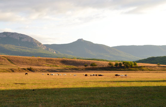 Mount the Boyka in the Crimea near the village of Sokolinoe