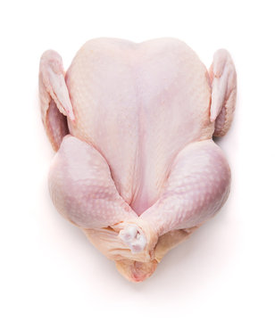 Top view of fresh raw chicken isolated on white