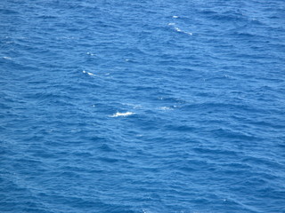 Fototapeta premium Mar azul