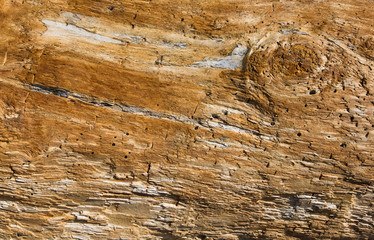 Texture of old driftwood, washed up by the sea © Wingedbull