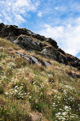 Fototapeta na wymiar National Trust - Glebe Cliff, Tintagel, Cornwall, England