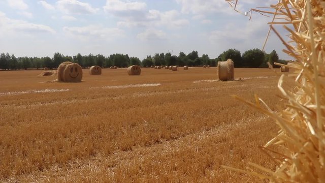 Field with straw bales with happy emoji