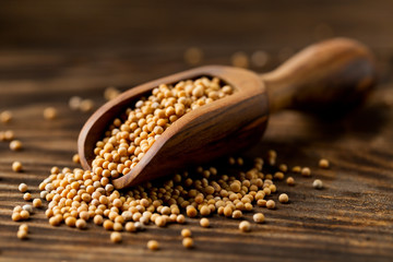Heap of raw, unprocessed mustard seed kernels in wooden scoop on rustic wood table background