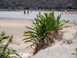 Kreta Strand