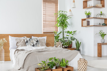 Wooden bed with cushions and sheets in bright bedroom interior with plants and blinds. Real photo
