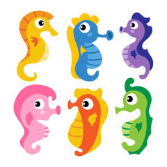 seahorse vector collection design