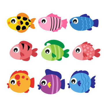 fish vector collection design