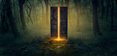 fantasy door