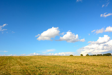 Obraz premium field in sunlight and blue sky 