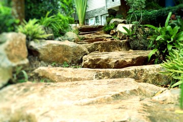 Stone path in garden