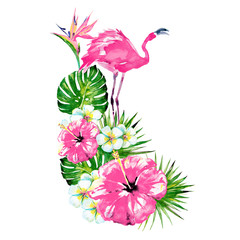 beautiful pink flamingo and exotic  flowers , palm leaves, watercolor