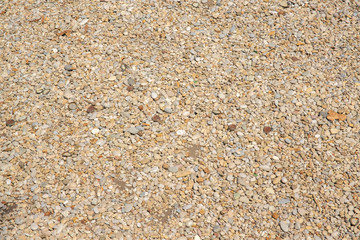 Detail of a path of pebbles. This country trail is ideal for texture and pattern of roads.