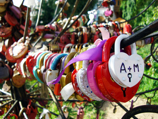 Naklejka premium Locks of love and fidelity on the wedding trees of happiness.