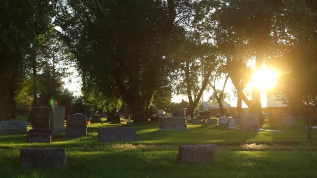 Sun Setting Behind Trees in Cemetery