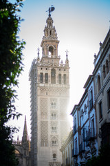 Streetlife Sevilla Summer Travel
