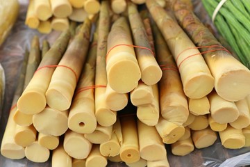 Bamboo shoot at street food