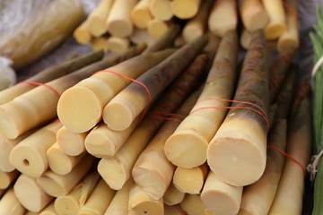 Bamboo shoot at street food