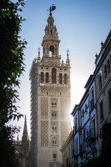 Fototapeta na wymiar Streetlife Sevilla Summer Travel