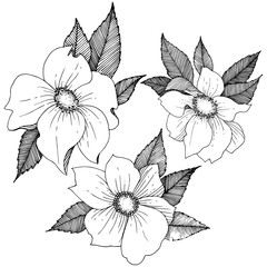 Fototapeta premium Wild rose in a vector style isolated. Full name of the plant: rose. Vector flower for background, texture, wrapper pattern, frame or border.