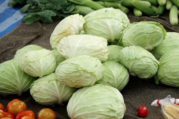 cabbage at the market