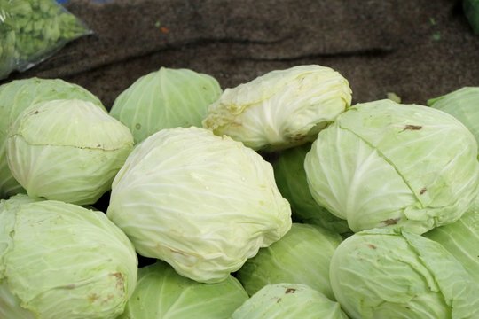 cabbage at the market